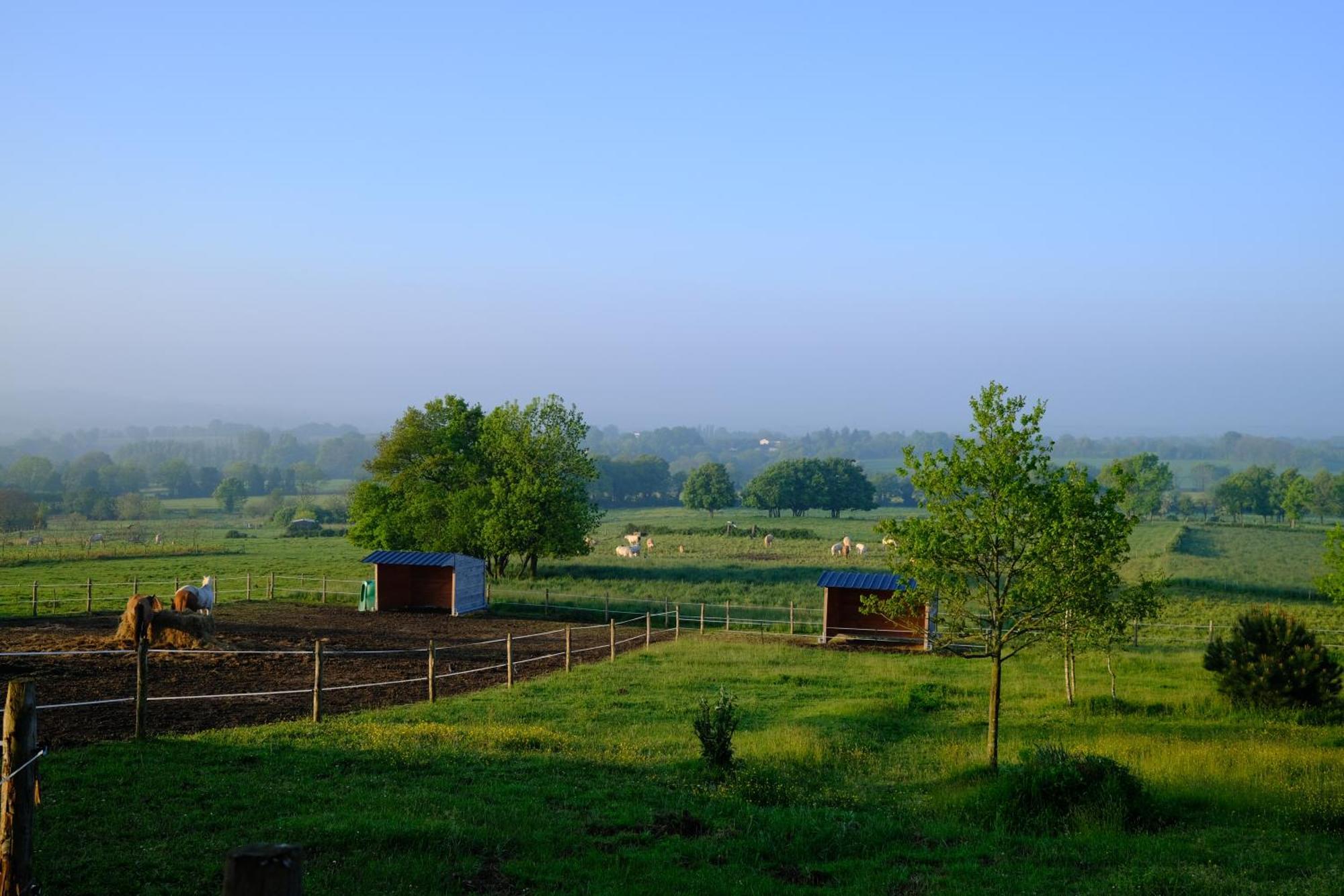 Les Chambres De La Forge Des Collines Les Herbiers Exteriör bild